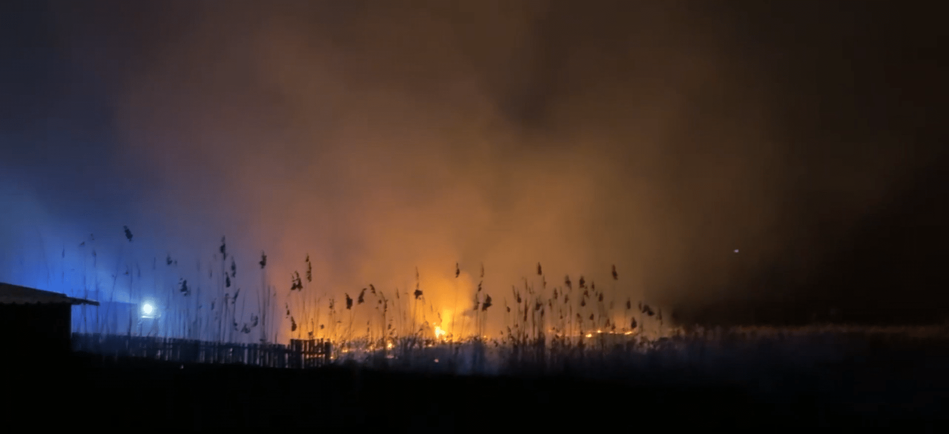 Incendiu devastator în Delta Dunării: Flăcările aproape de gospodării și pensiuni