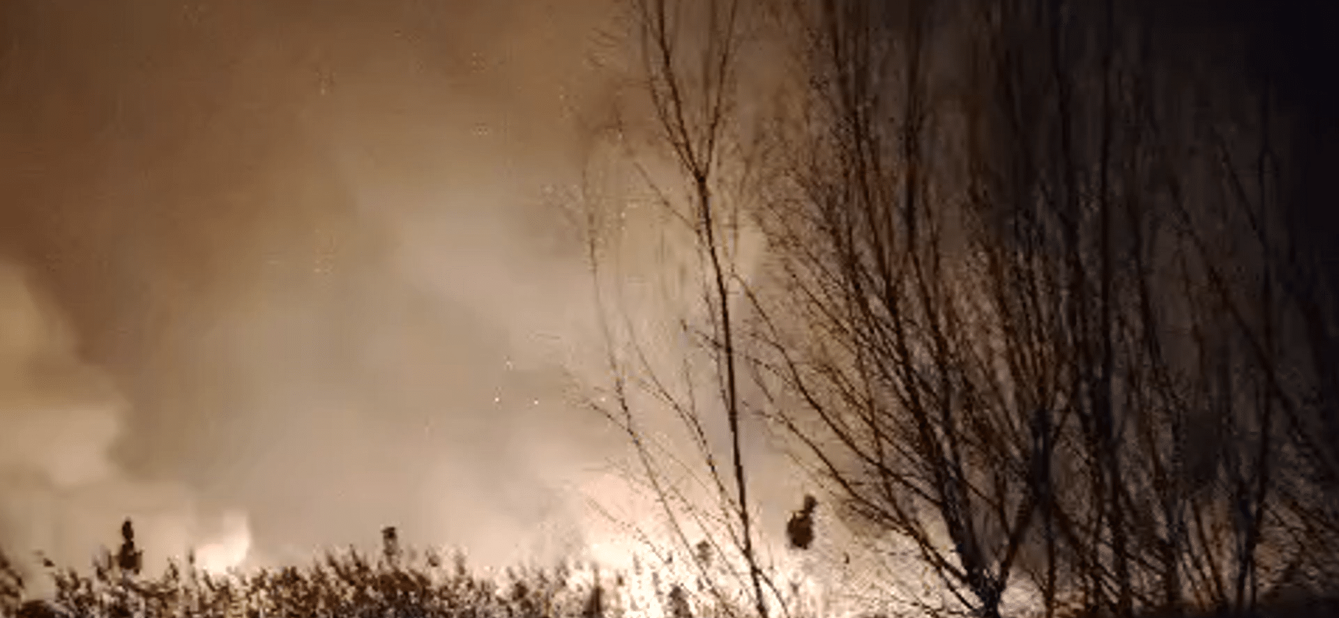 111 hectare mistuite de flăcări în județul Constanța: ISU face apel la prudență pentru a preveni extinderea incendiilor