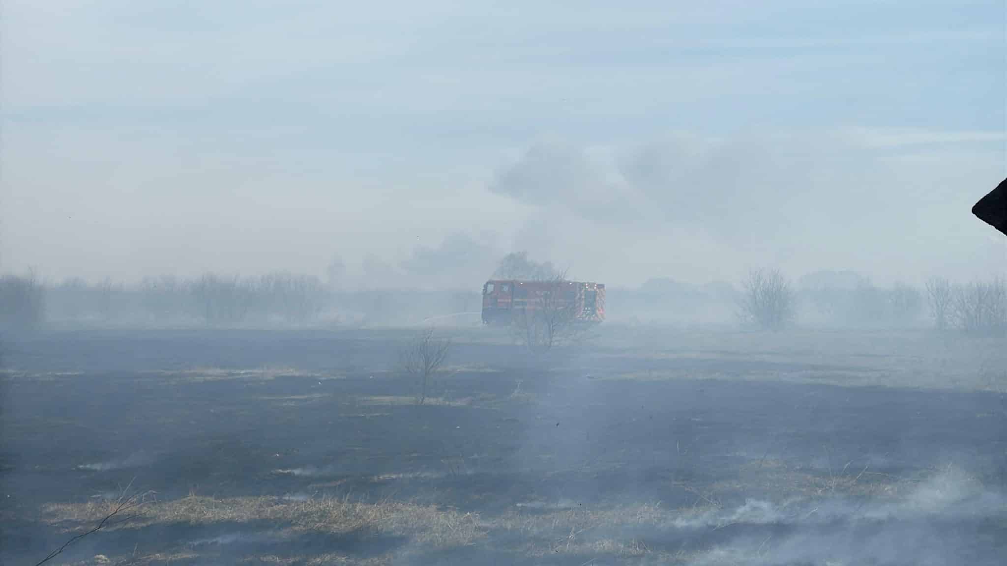 FOTO/VIDEO: Incendiu de vegetație uscată în Delta Dunării. Pompierii fac apel la responsabilitate