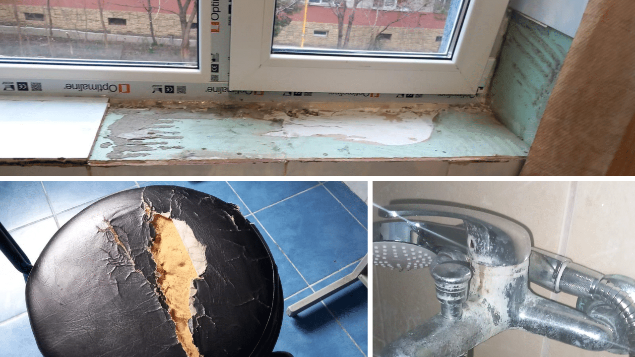 Gândaci și mizerie în căminele studențești din Constanța