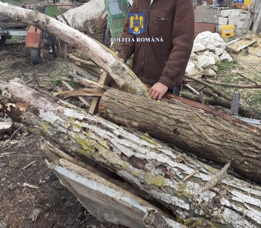 Control în zonele silvice din Murfatlar și Valu lui Traian: 6 amenzi aplicate și un dosar penal deschis