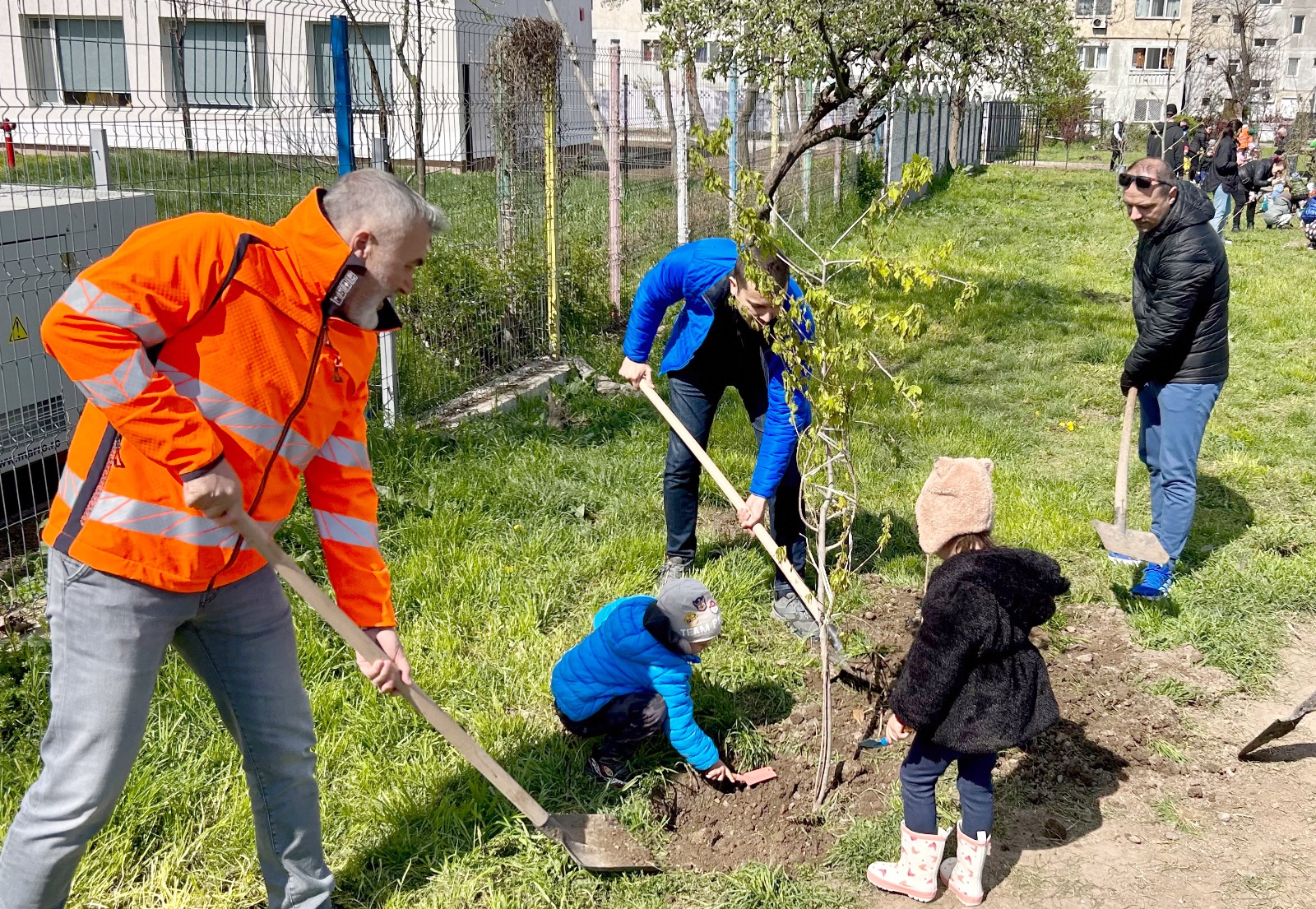 Peste 300 de arbori vor fi plantați în aceste zile pe aliniamentele stradale