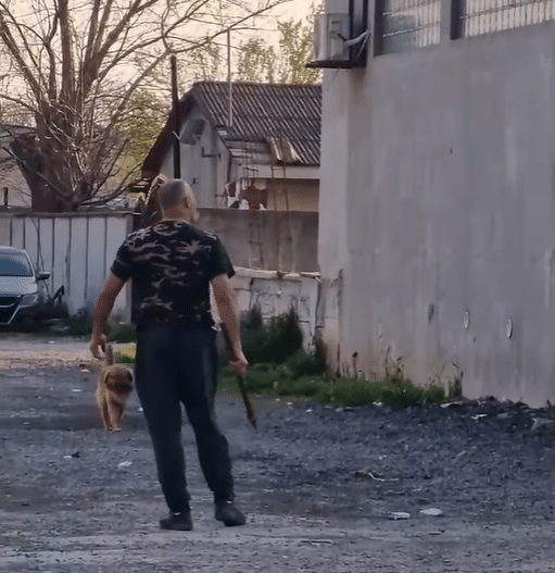 Atac cu topor pe străzile din Ovidiu: Scene terifiante filmate și distribuite pe rețelele sociale