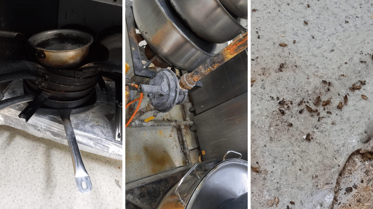 Restaurant celebru din Constanța, închis pe loc: Inspectorii au găsit insecte, grăsime și mâncare pe jos