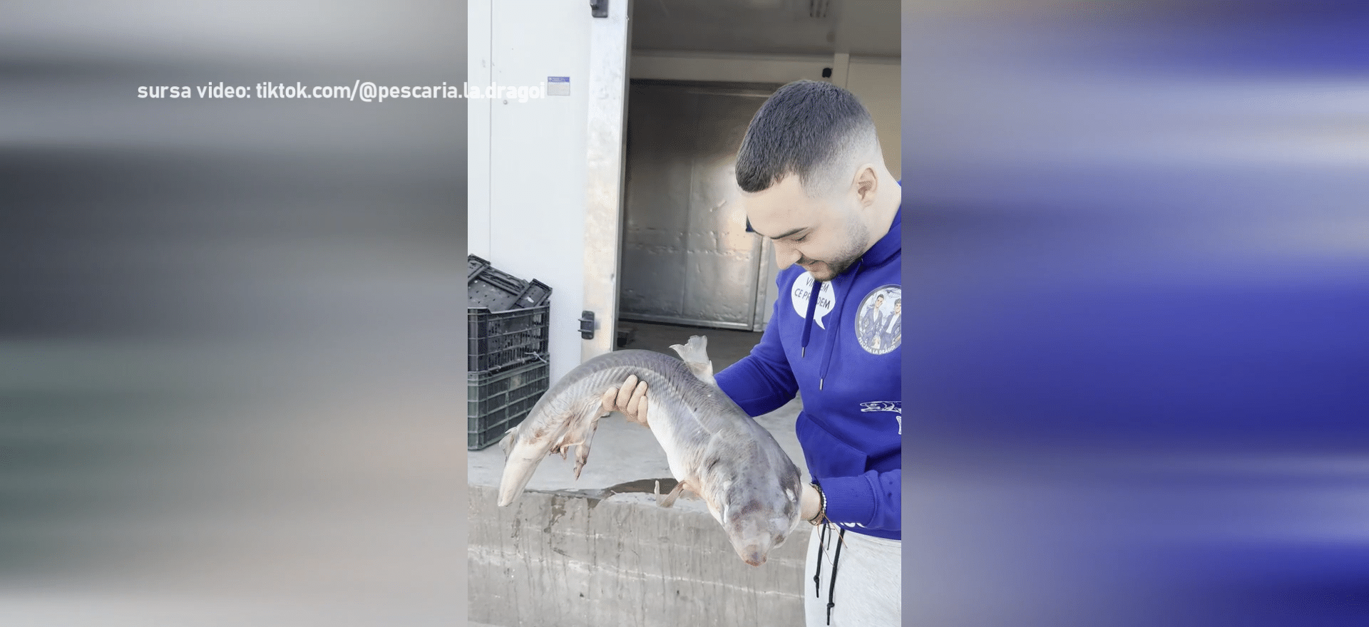 Rechin pescuit în Marea Neagră devine viral pe TikTok. Ce spun specialiștii