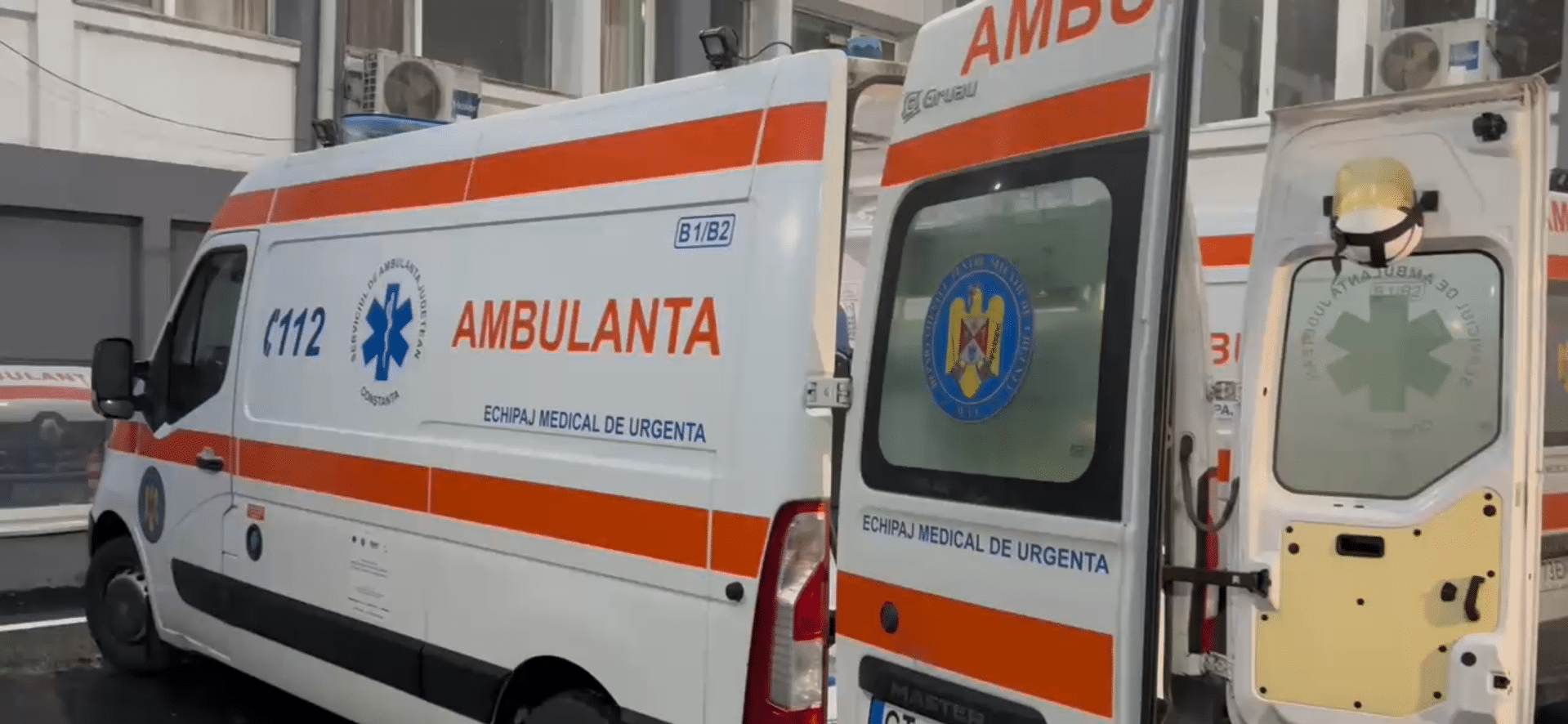 Copil de 2 ani, atacat de o haită de câini comunitari la Medgidia. A fost salvat de un trecător