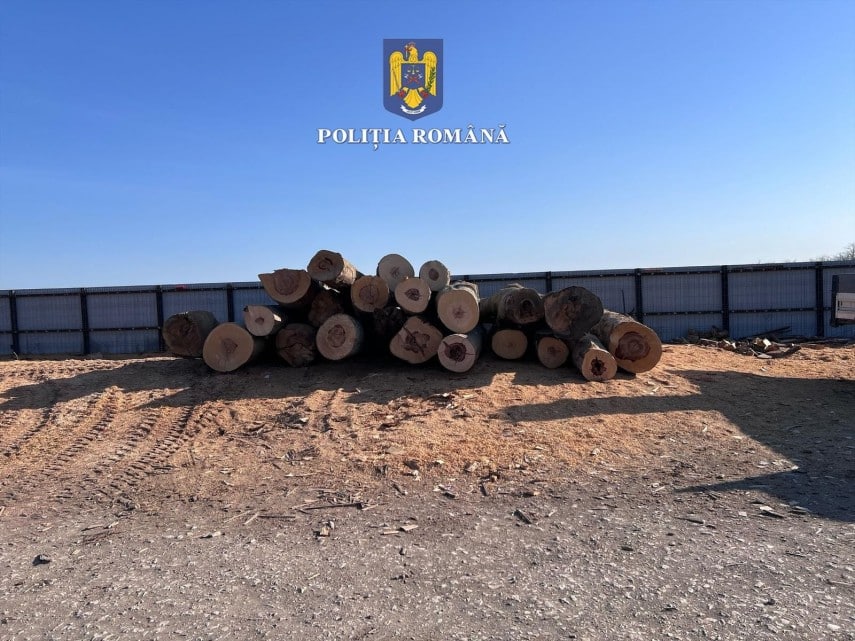 Captură de lemn în prima zi de mai: Lemn fără aviz, camion pus sub sechestru