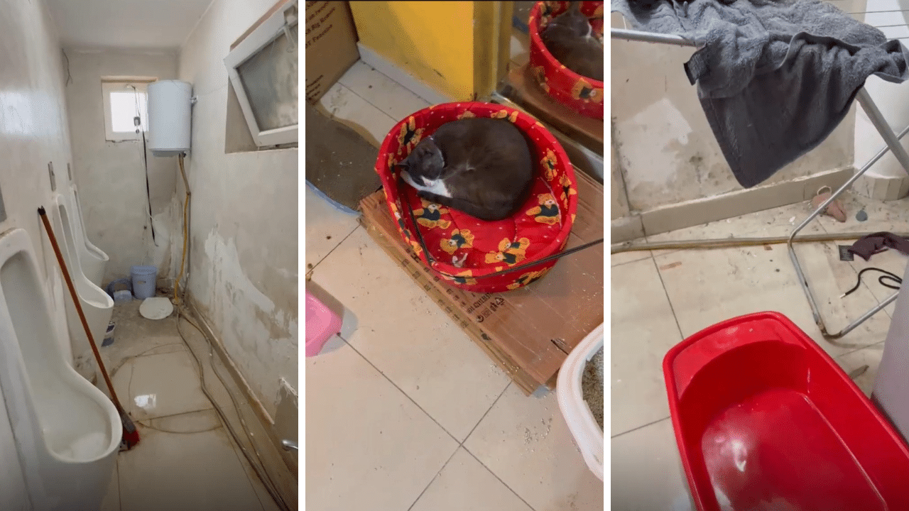 Descoperire șocantă la Valu lui Traian: Locuință improvizată printre gunoaie, în subsolul unui magazin