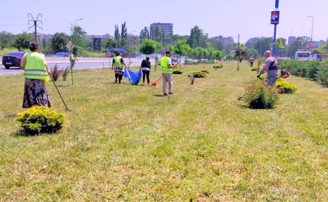 Primăria Constanța continuă lucrările de întreținere a spațiilor verzi în tot orașul