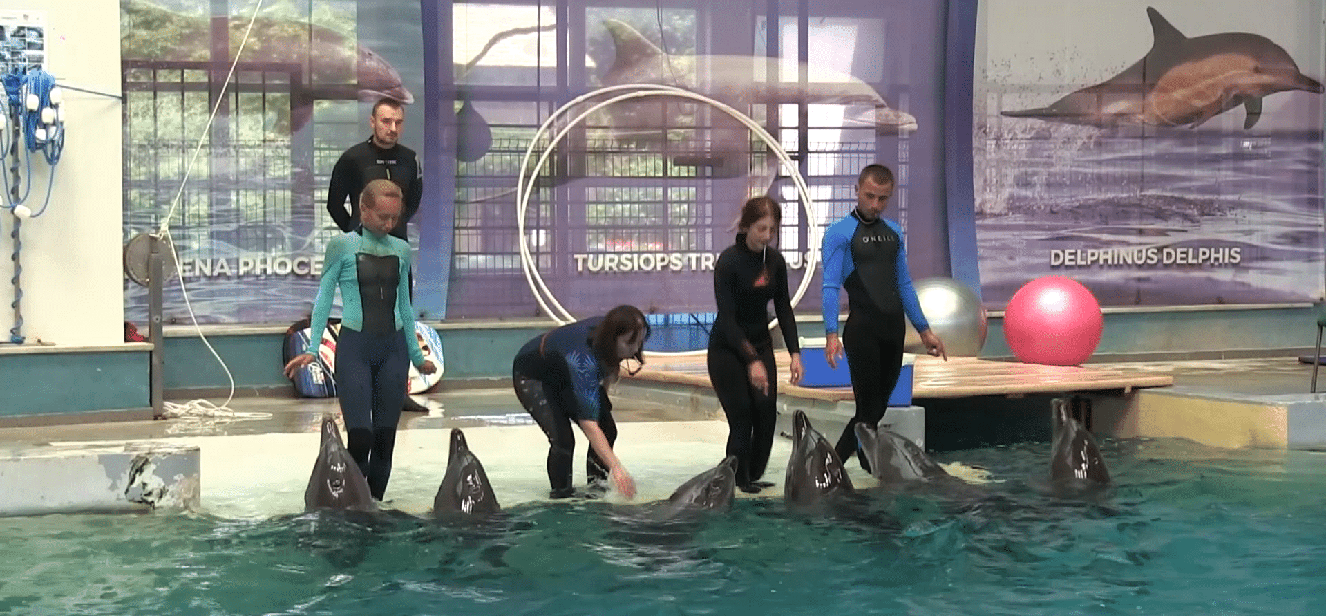 Delfinariul din Constanța se redeschide pe 15 iunie cu noi surprize pentru vizitatori