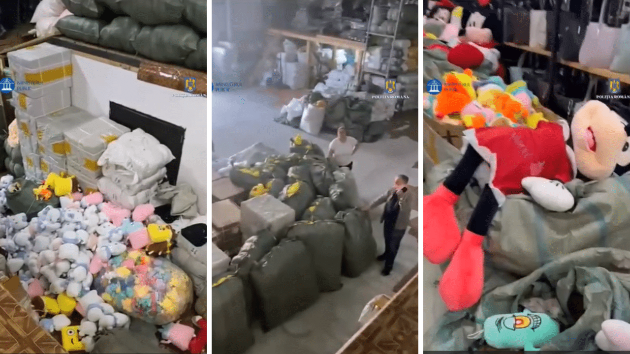 VIDEO. Produse contrafăcute, descoperite în timpul perchezițiilor efectuate de polițiștii constănțeni