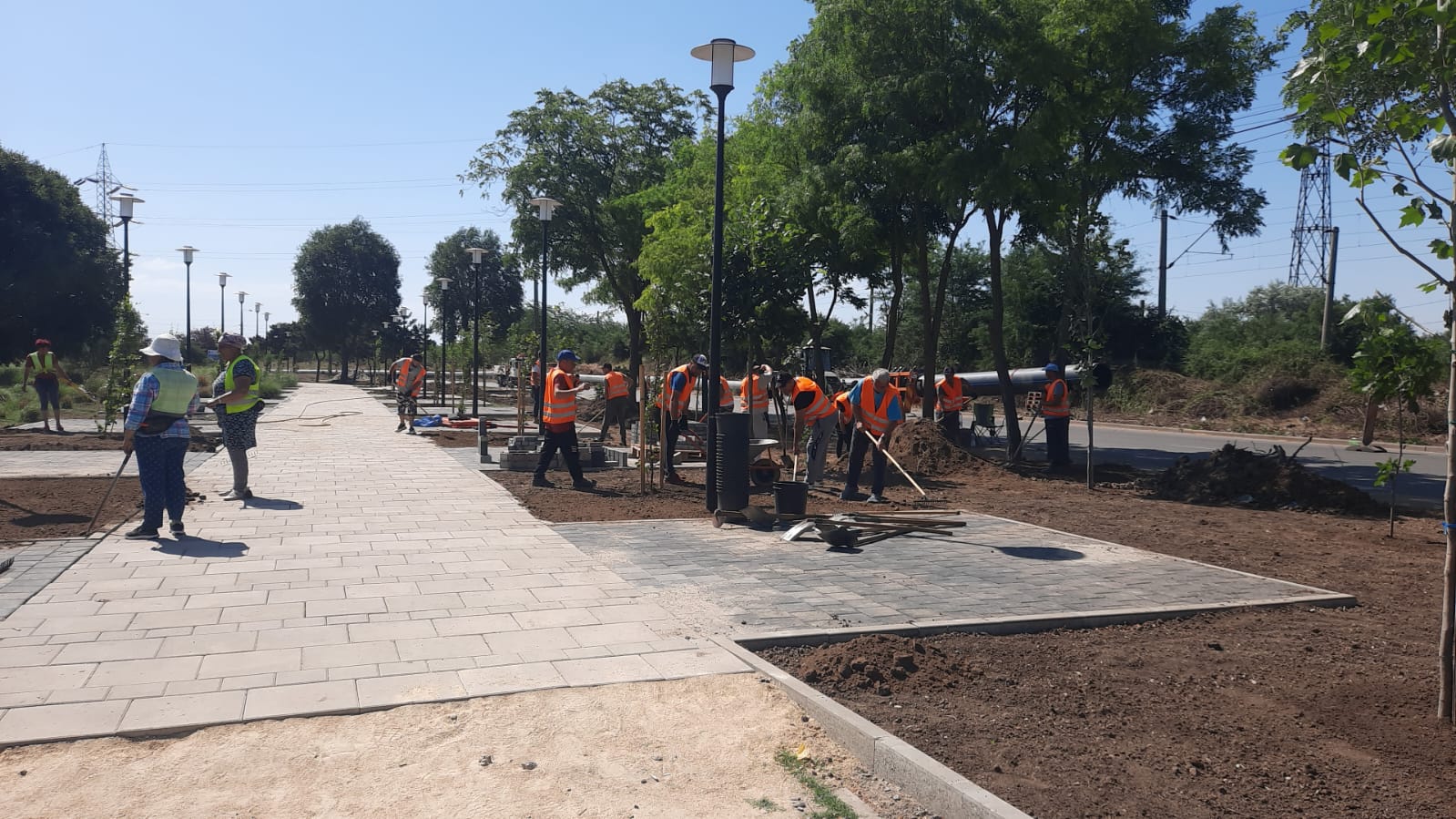 FOTO: Primăria Constanța asigură zilnic îngrijirea spațiilor verzi din oraș
