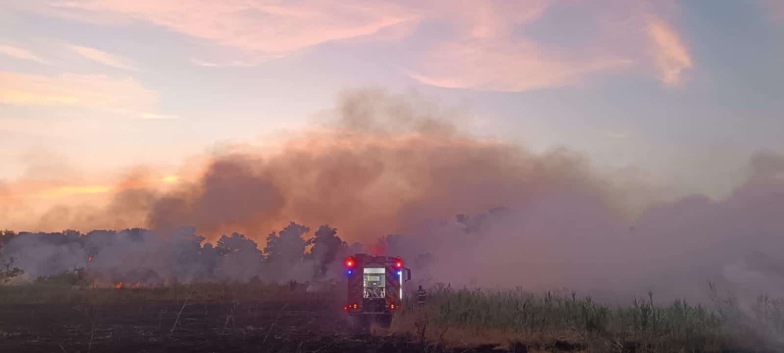 Incendiu devastator în Delta Dunării: peste 1.300 de hectare mistuite de flăcări