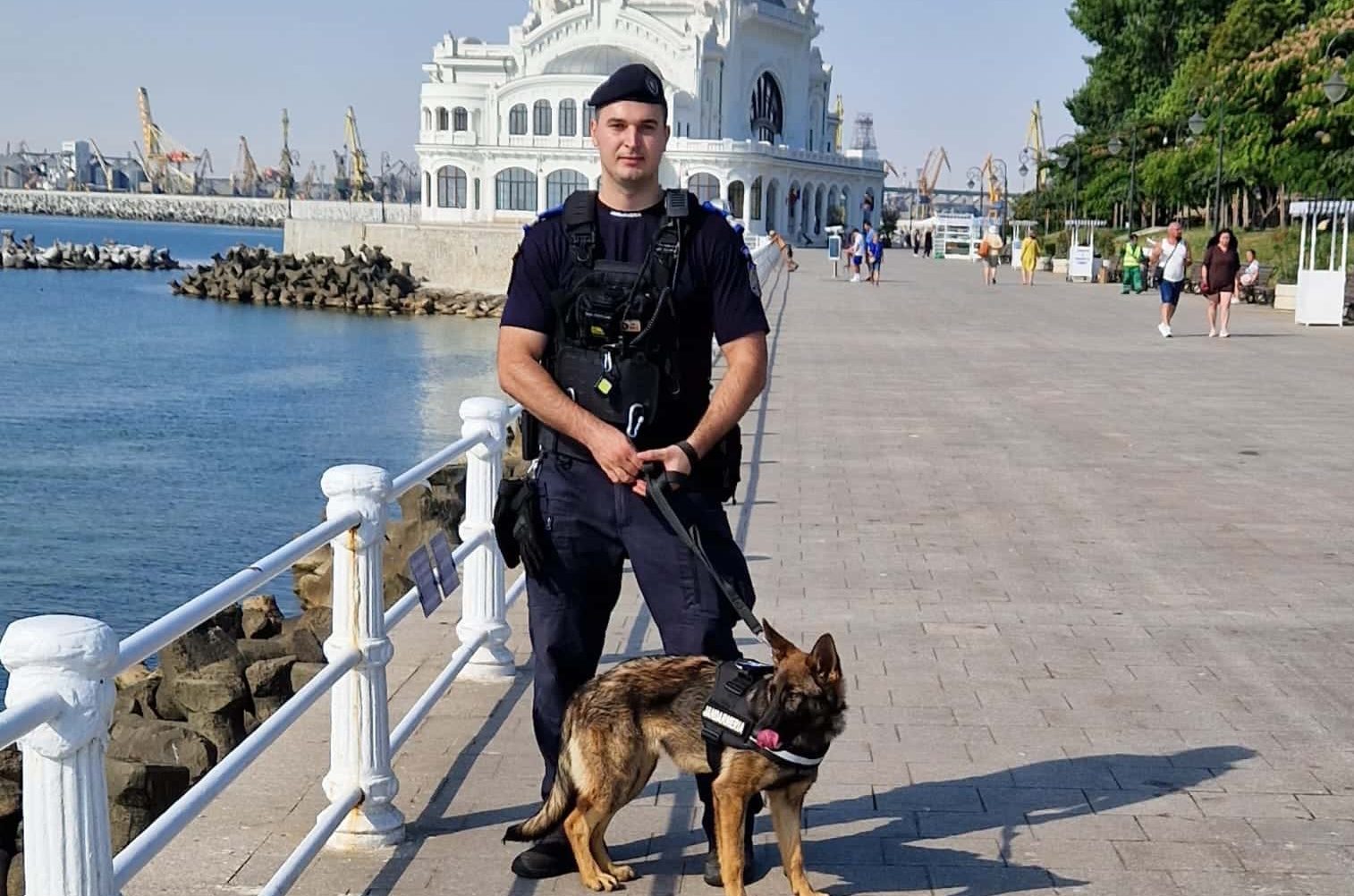 FOTO: Aria, noul partener canin al Jandarmeriei Constanța, pregătită să lupte împotriva drogurilor