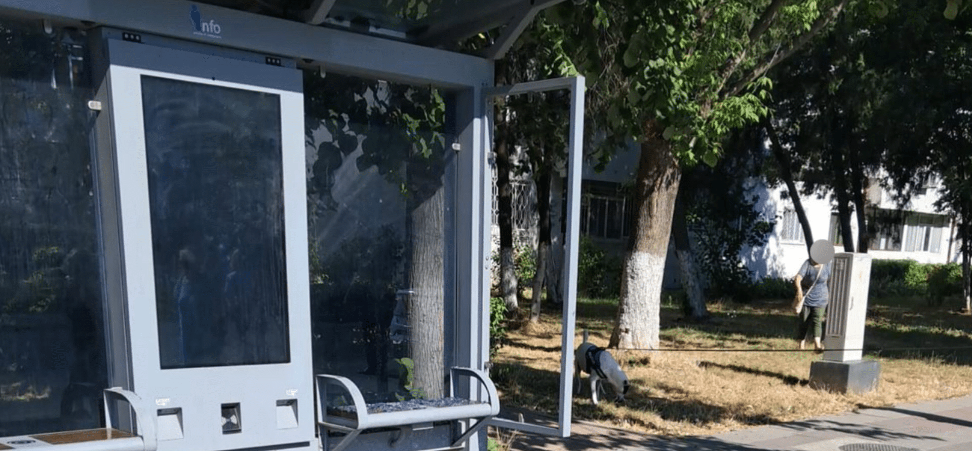 Stație de autobuz vandalizată la Constanța: Bărbat prins în flagrant lovind geamul