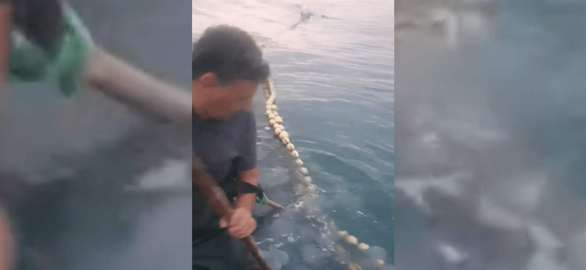 Invazie de meduze în Agigea: pescarii au scos tone de nevertebrate din Marea Neagră