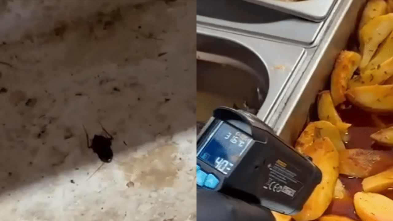 Controale ANPC pe litoral: gândaci, mucegai, mâncare stricată și 9 restaurante închise
