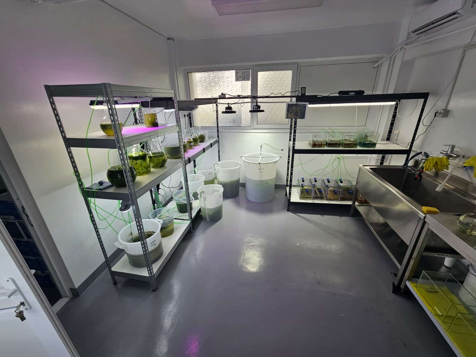 FOTO. Proiectul EX-AQUA marchează un an de succes în acvacultura algelor cu laboratoare noi și planuri strategice la Constanța