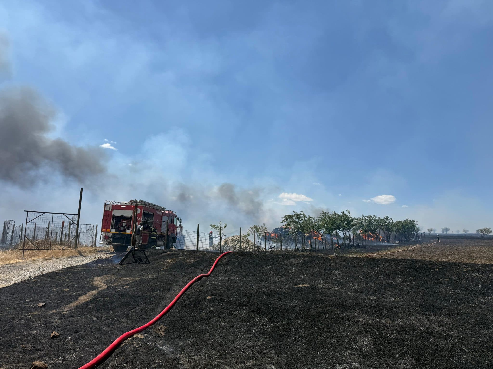 FOTO/VIDEO: Incendiu la o stână de oi și vegetație uscată în municipiul Tulcea. Intervin pompierii