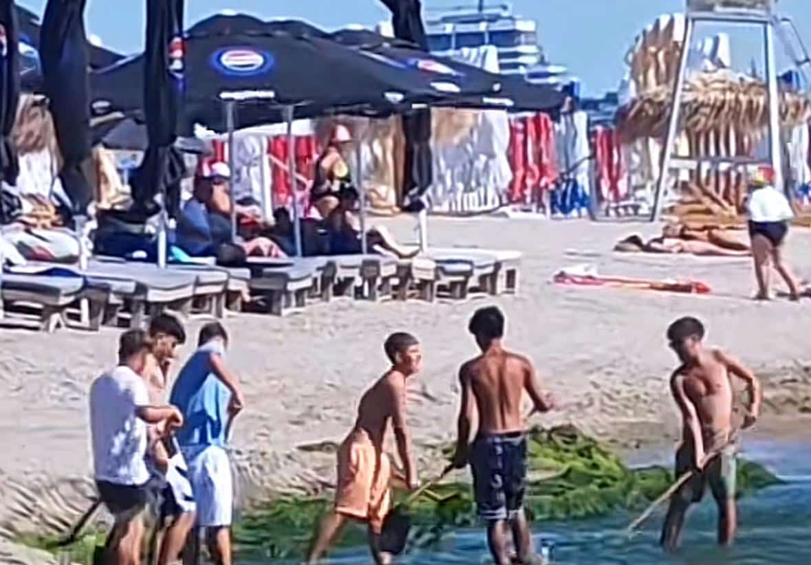 Algele din Mamaia, aruncate înapoi în mare: Imagini virale cu angajați surprinși pe plajă