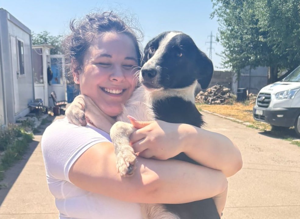Un cățel din adăpostul Constanței și-a găsit familia. Campania „Adoptă un cățel! Salvează o viață!” continuă