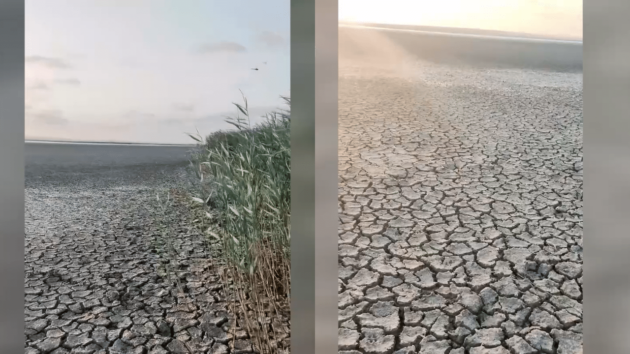 Lacul Nuntași din județul Constanța, complet uscat: un ecosistem în pericol