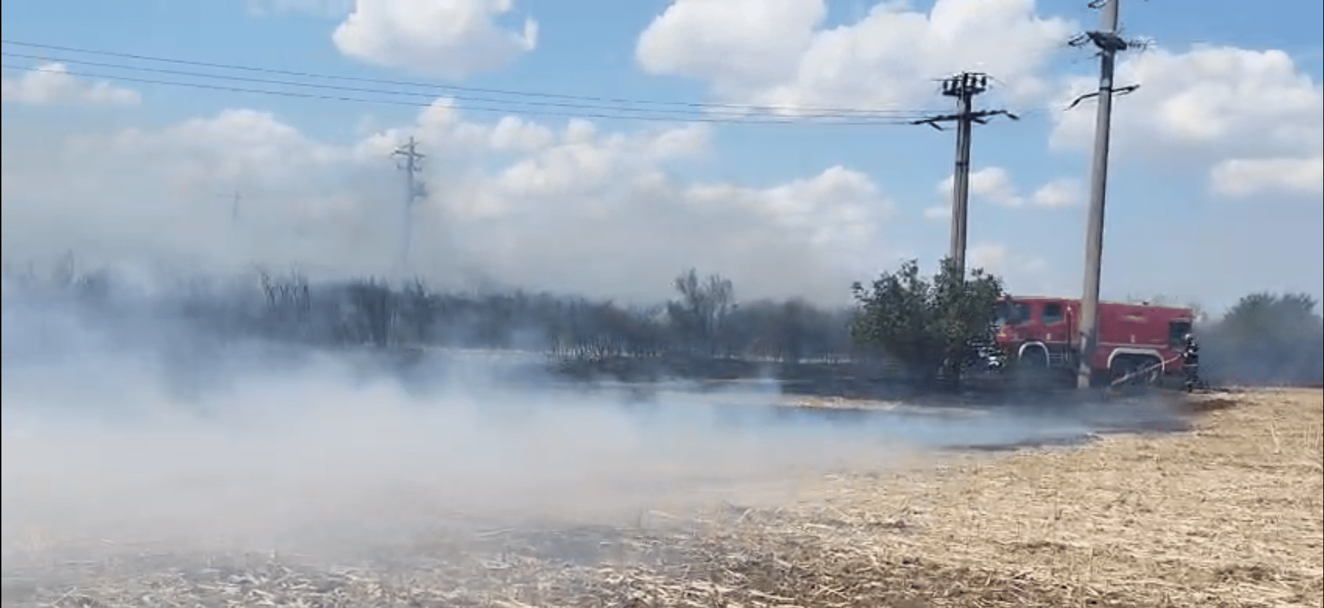 VIDEO. Incendiu de vegetație în zona Saligny: Traficul pe A2, deviat către București. Intervin Pompierii