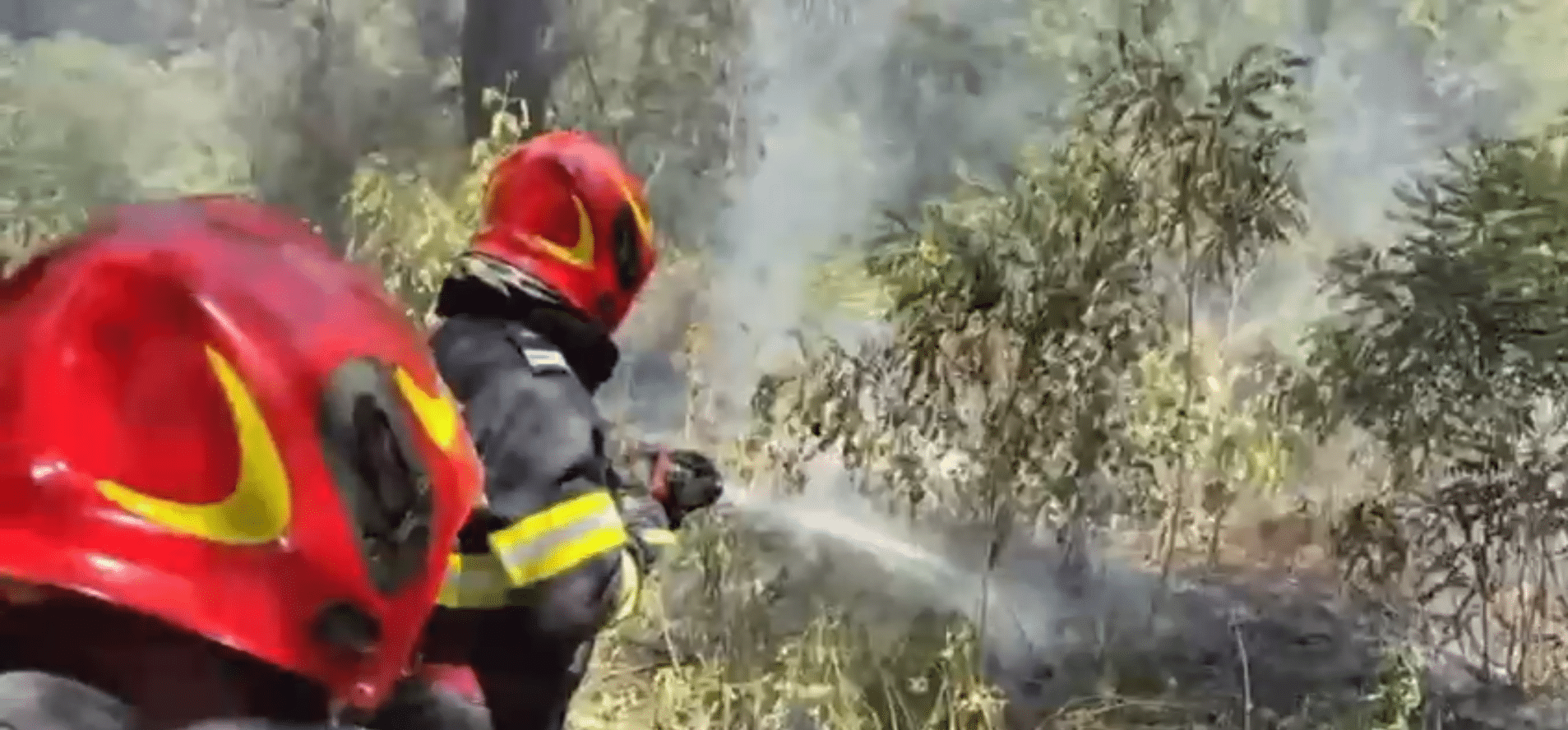 VIDEO. Incendii în Delta Dunării: intervenții la Chilia Veche și Plauru pentru limitarea flăcărilor