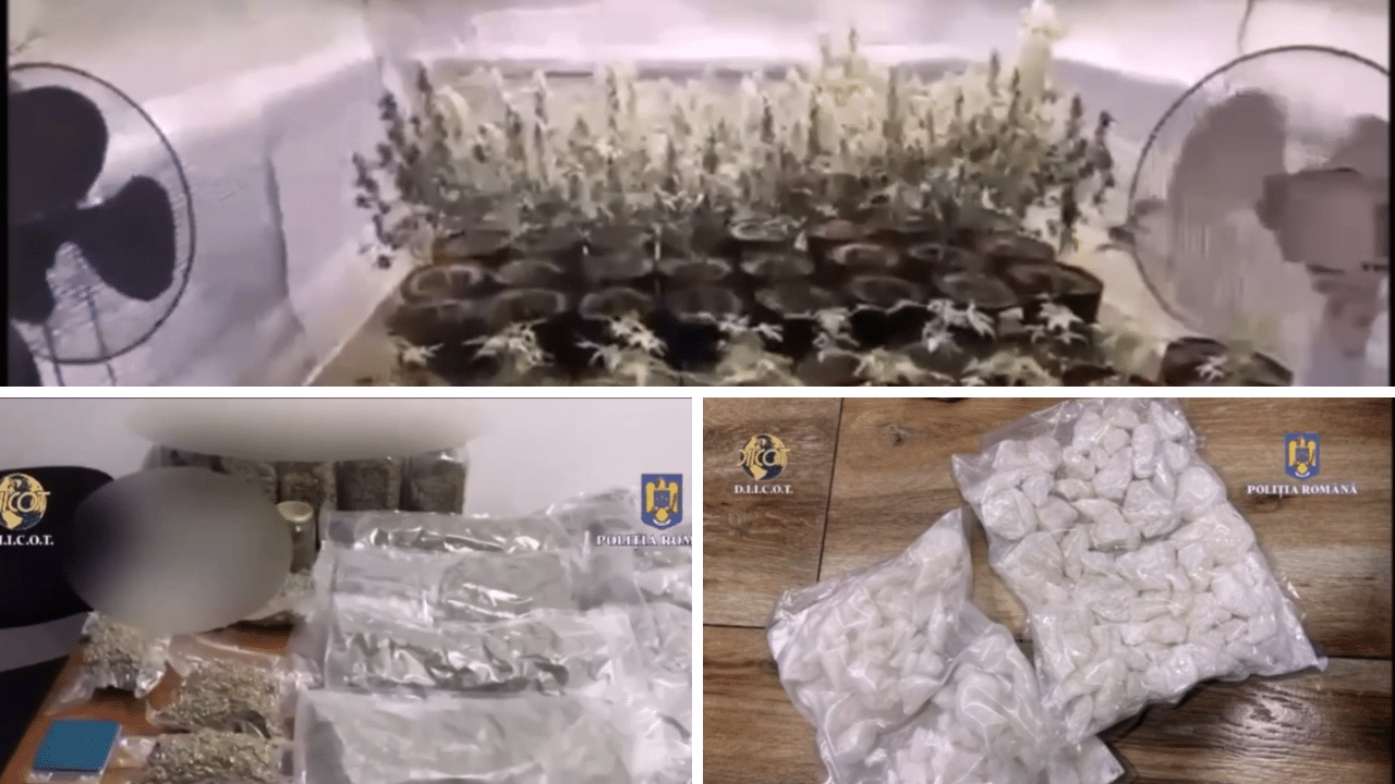 VIDEO: Aproape 2 tone de droguri confiscate în primele 7 luni ale anului 2025 și peste 530 de acțiuni antidrog