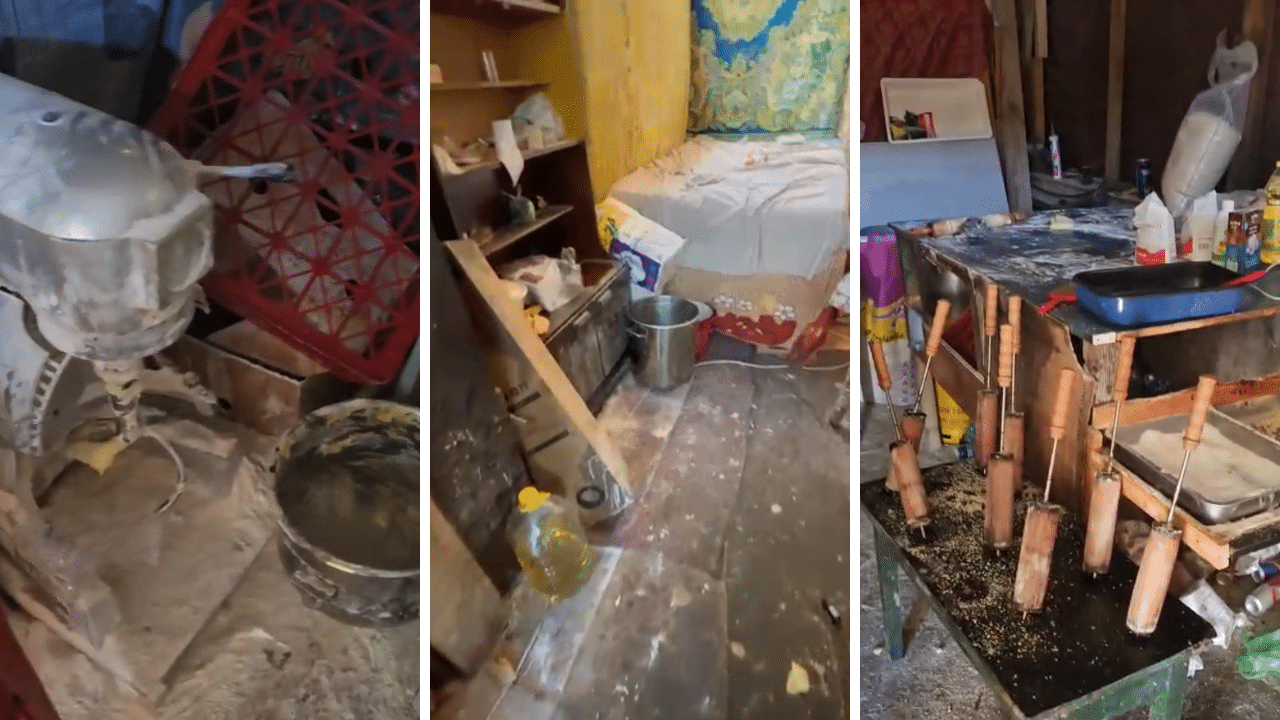 Descoperire șocantă la Eforie: porumb și gogoși pregătite printre resturi și mucegai