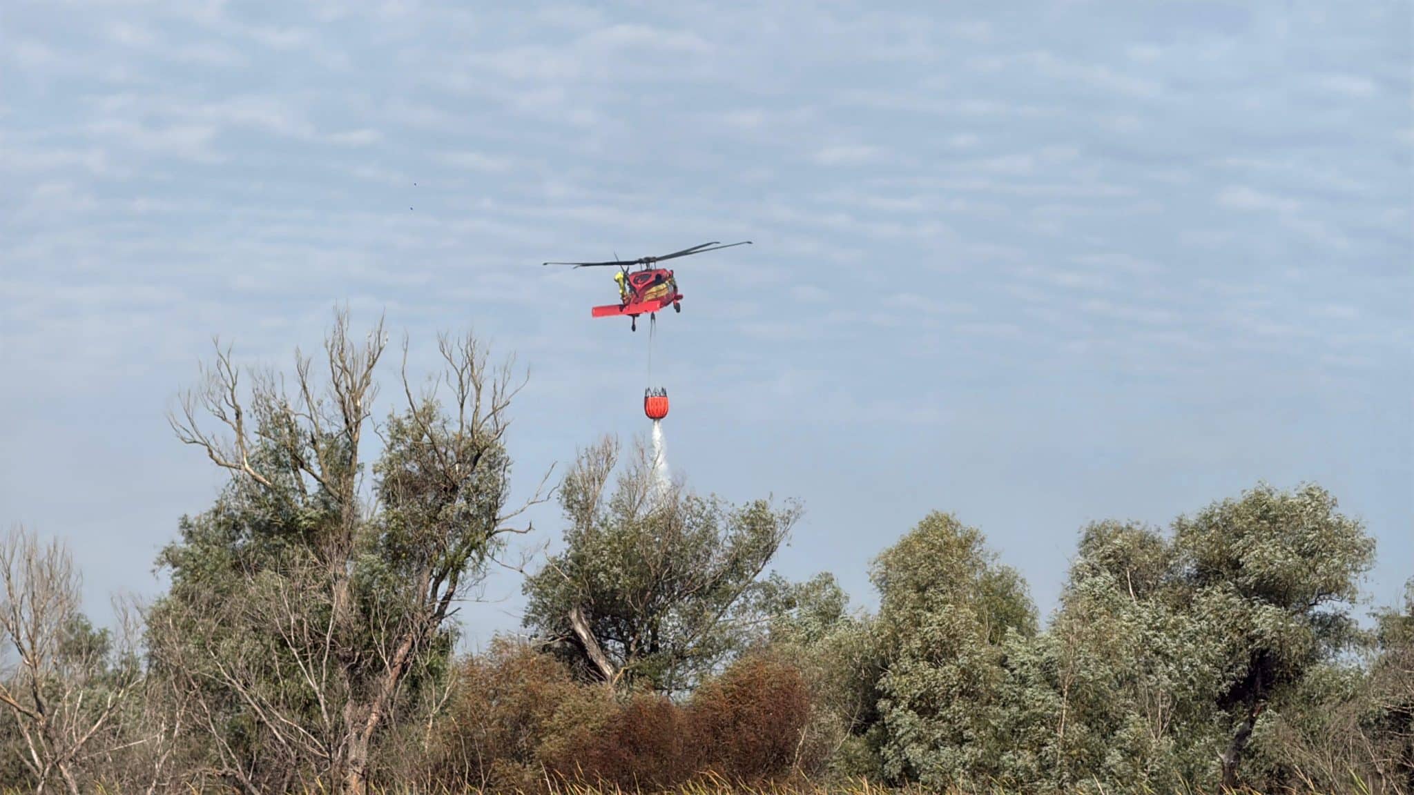 Incendiu devastator în Delta Dunării, zona Sireasa: zeci de hectare mistuite, pompierii acționează și cu elicoptere Black Hawk