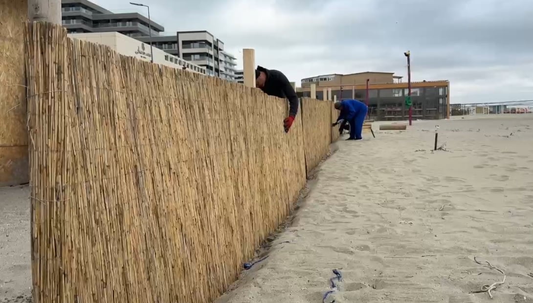 Garduri de stuf pe plajă