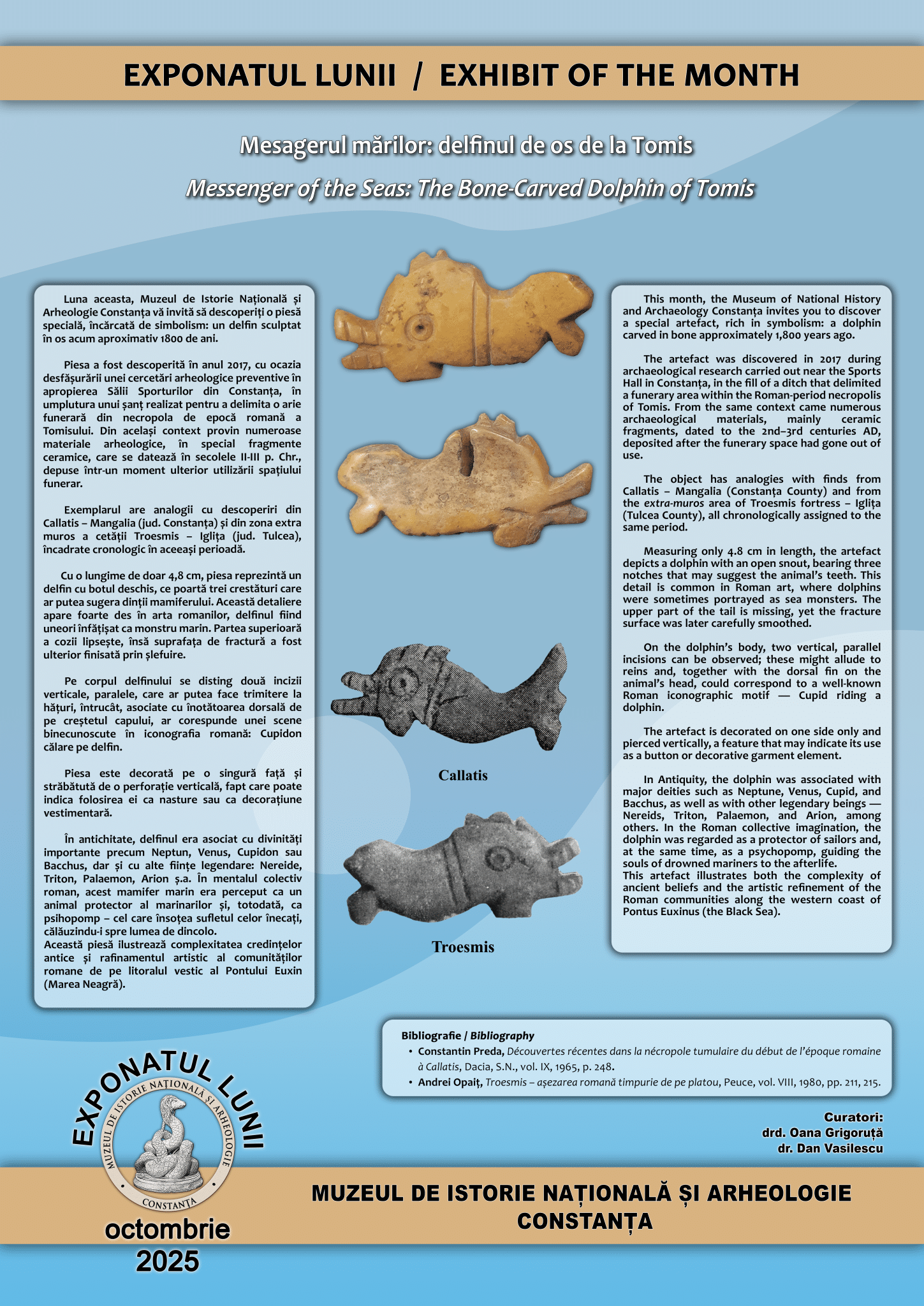 MINAC: Exponatul lunii octombrie – Mesagerul mărilor: delfinul de os de la Tomis
