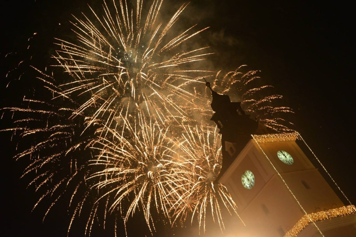 Din dragoste pentru animale! Un mare oraș din România renunță la artificiile de Revelion