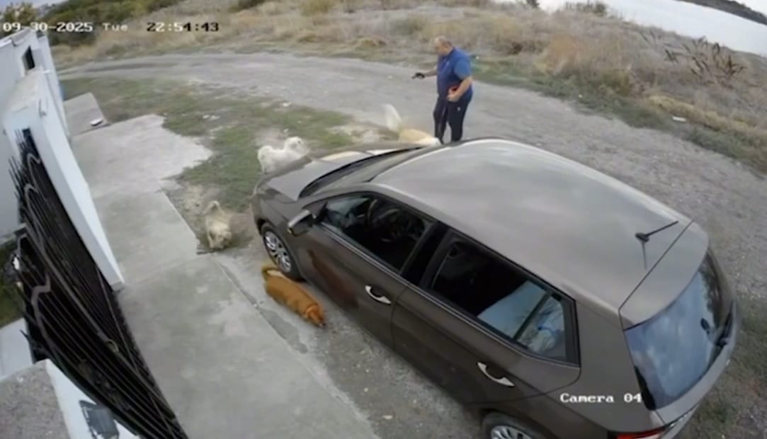 Șocant: A scos arma și a împușcat un câine