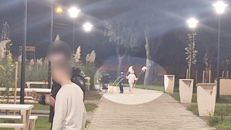 Plante decorative sustrase din Parcul Poarta 6 din Constanța. Poliția Locală are în vizor autorii