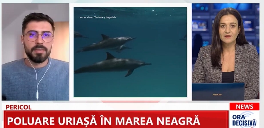 Greenpeace România lansează harta poluării petroliere din Marea Neagră. Alin Tănase a explicat la DOTTO TV cât de gravă este situația în apele românești