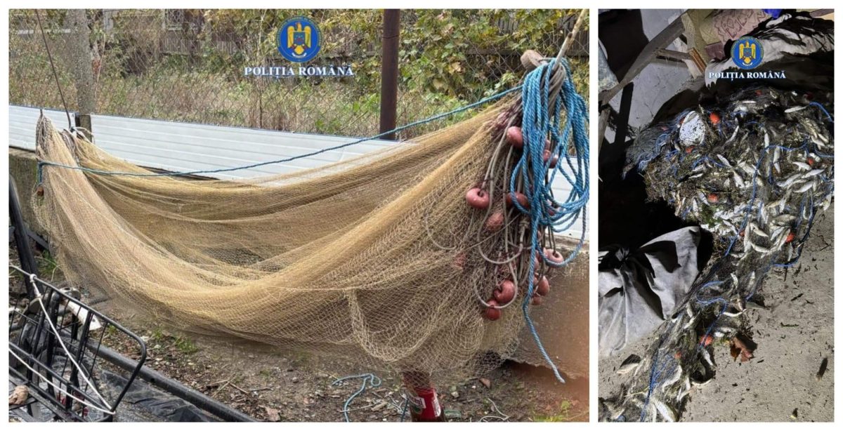 Percheziții și capturi semnificative în Hârșova, într-un dosar de pescuit ilegal și distrugere a resurselor acvatice