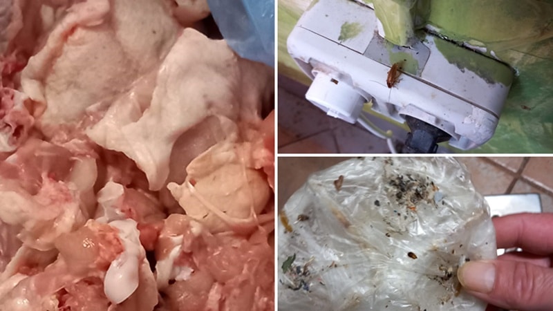 Magazin alimentar din Piața Tomis 3 închis de Protecția Consumatorilor: comisarii au găsit mizerie de nedescris și insecte – GALERIE FOTO