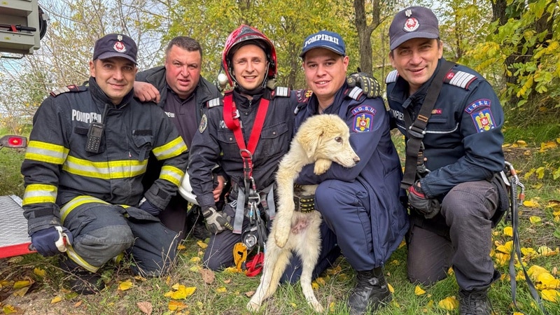 Curaj, devotament și o viață salvată. Pompierii tulceni au scos o cățelușă căzută într-o fântână adâncă