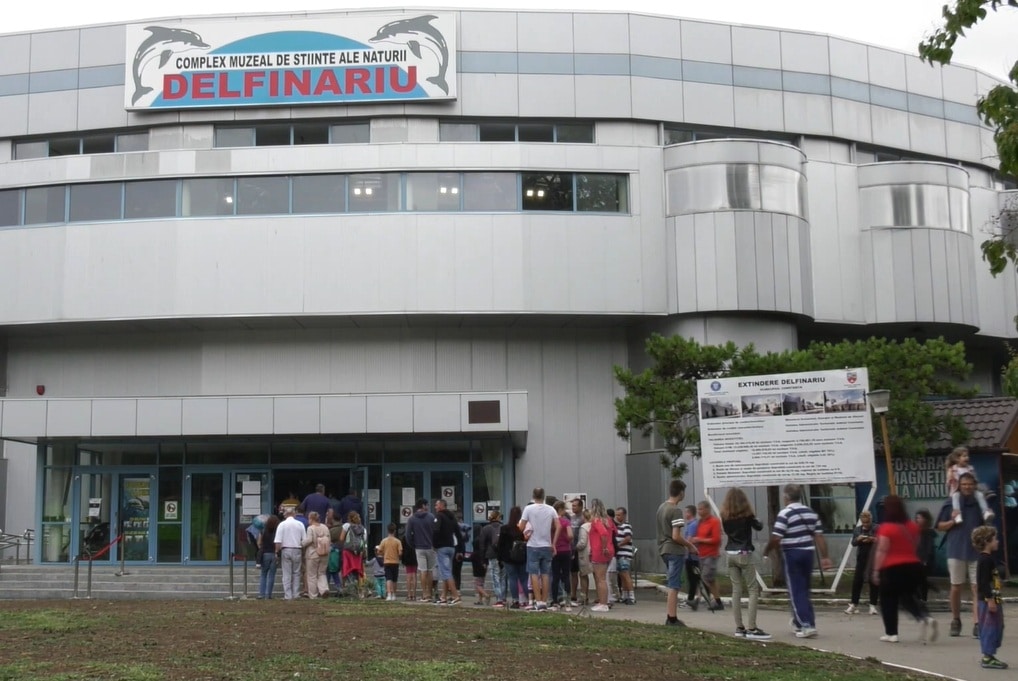 Acces gratuit la Delfinariu de Ziua Dobrogei. Vor avea loc două demonstrații speciale