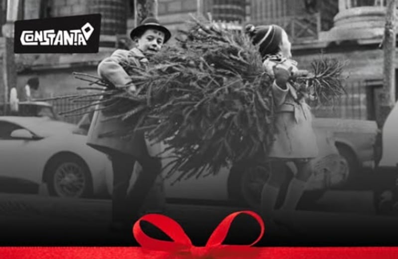 Se caută ”Cea mai frumoasă vitrină de Crăciun din Constanța”! Primul loc câștigă 6.000 de lei – cum te poți înscrie