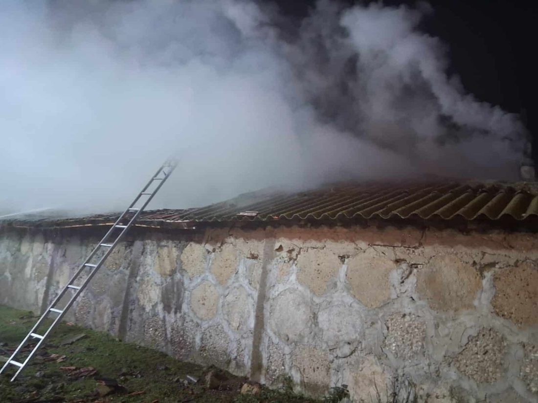 Incendiu violent la un adăpost de animale din Medgidia. Un bărbat a fost găsit carbonizat, zeci de animale salvate