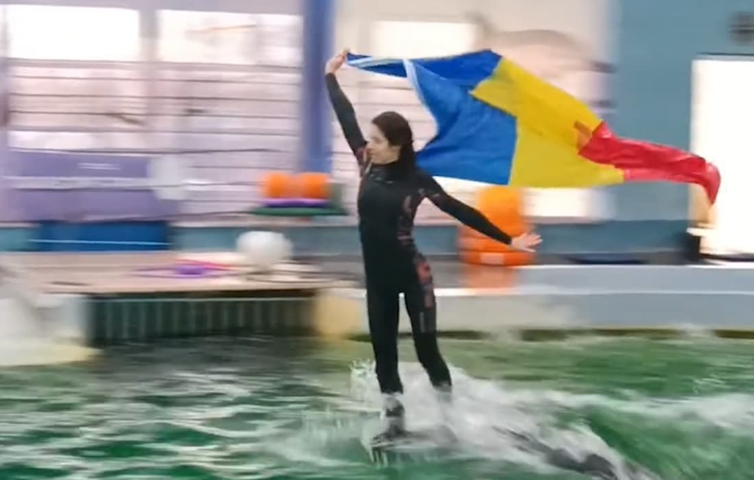 Moment spectaculos de Ziua Națională la Delfinariul din Constanța. Tricolor purtat de un… delfin