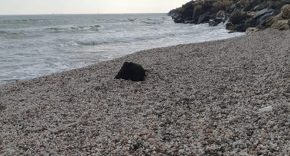 Alertă pe litoral! Mină marină descoperită pe plajă