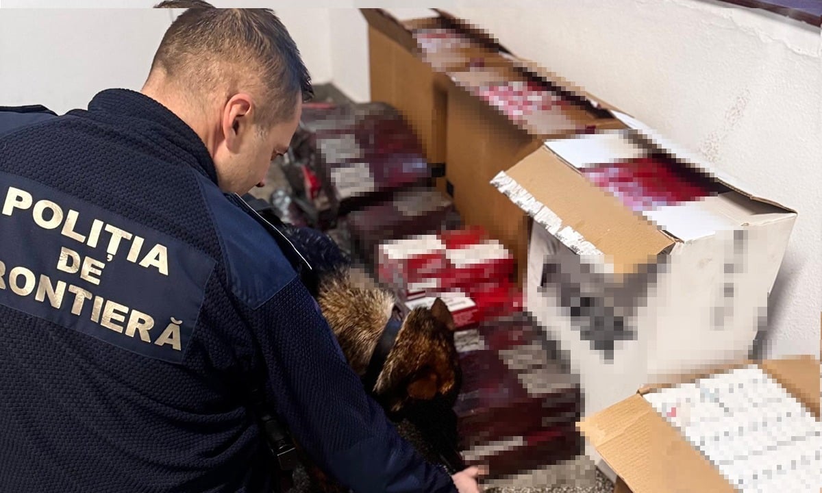 54.000 de țigarete de contrabandă descoperite la bordul unei nave, în Portul Constanța