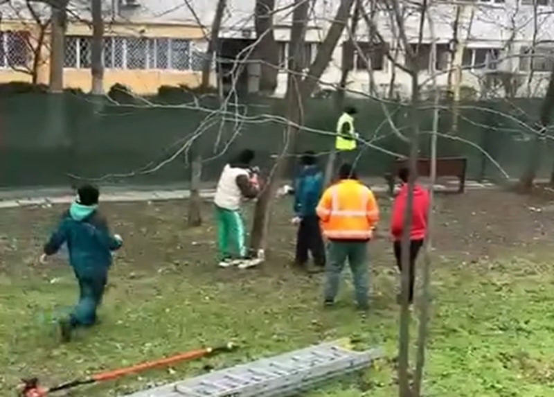 Tensiuni în zona Abator din Constanța. Muncitorii au venit să taie copacii pentru amenajarea unei parcări private pe spațiul verde