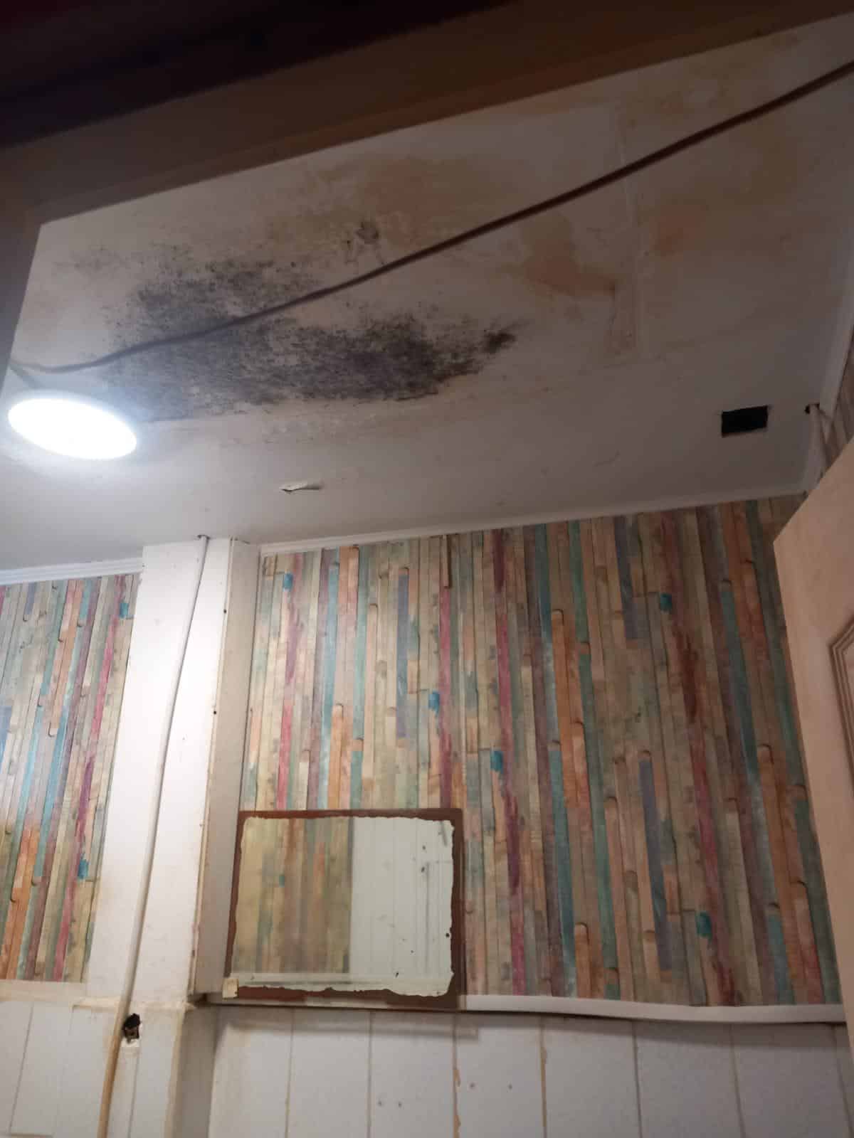 Ai băut cafeaua aici? Inspectorii OPC au găsit un dezastru!