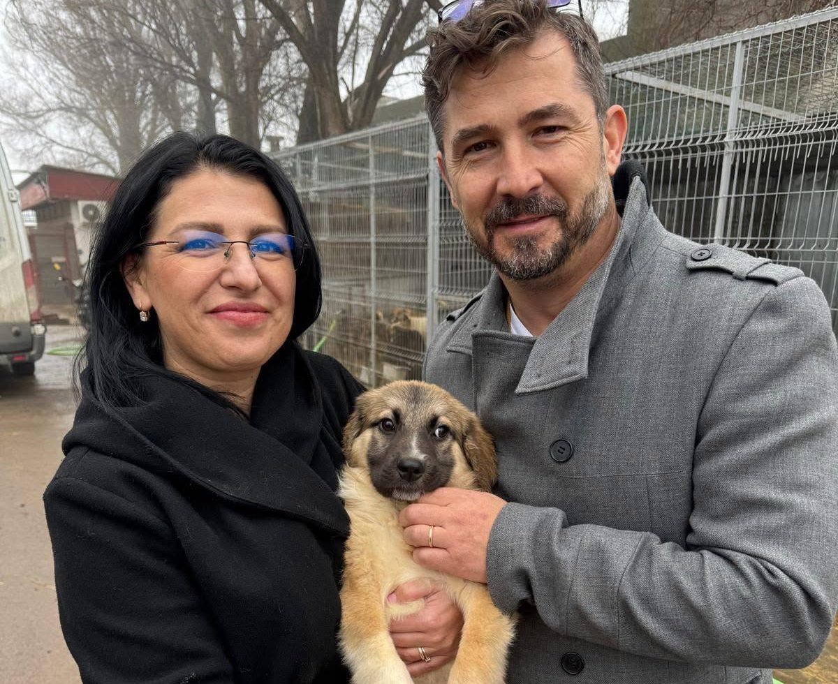 „Adoptă un cățel” – Moock și-a găsit o familie iubitoare: ”După ce a mâncat, a înțeles că viața lui s-a schimbat”.  Sute de patrupede așteaptă o șansă