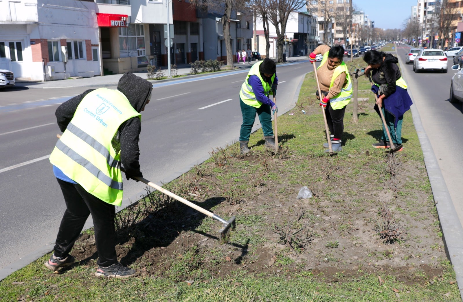 Îngrijirea de primăvară a spațiilor verzi din Constanța